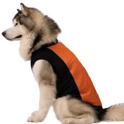 Trepaws Extra Large Dog Jacket Beedle - Black & Burnt Orange