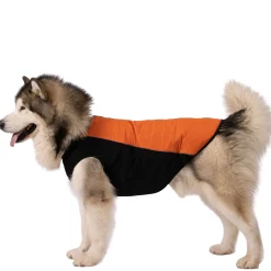 Trepaws Extra Large Dog Jacket Beedle - Black & Burnt Orange