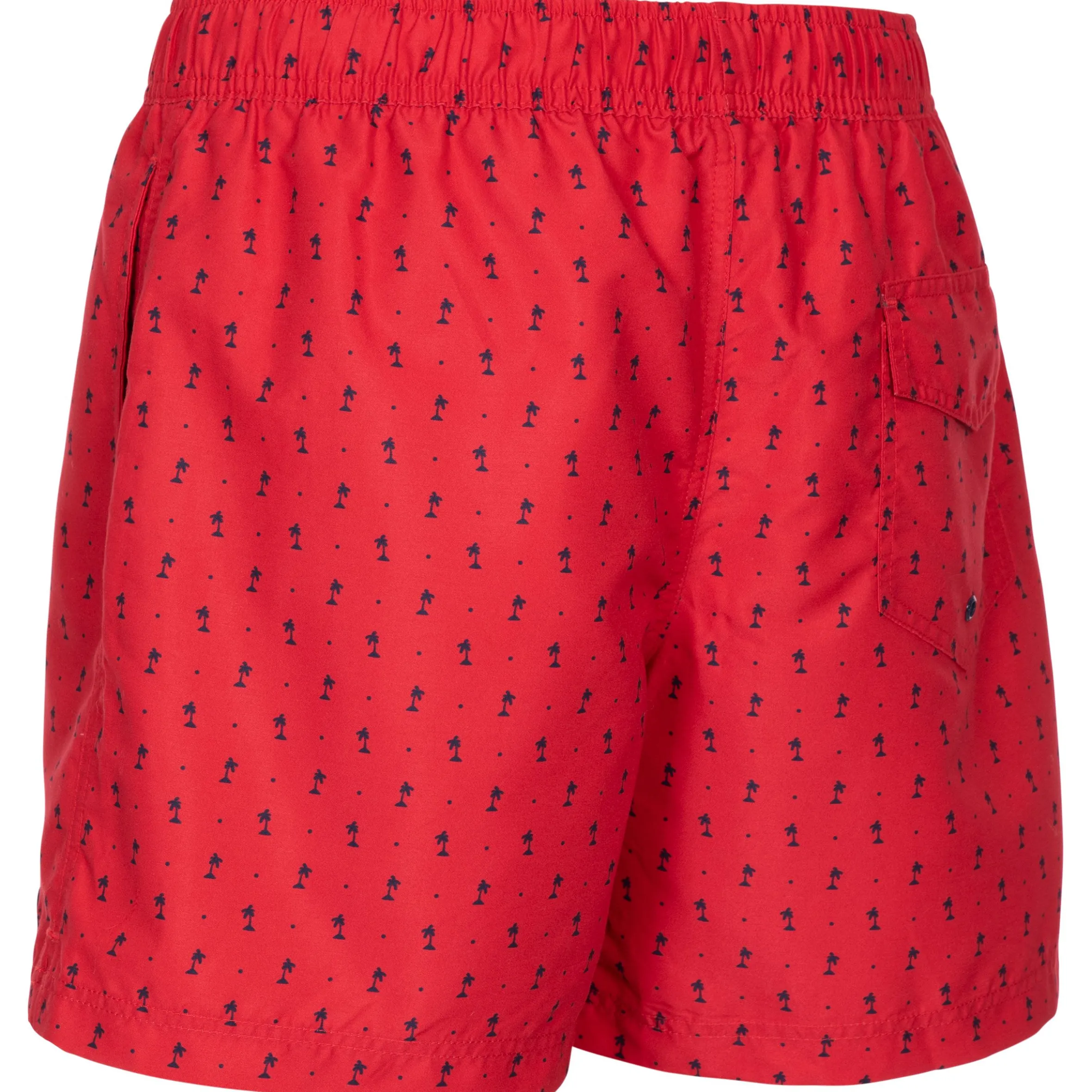 Trespass Men's Swimshorts Eugine