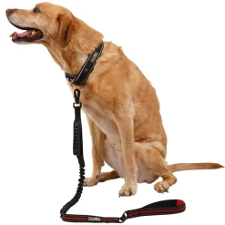 Trespaws Dog Bungee Lead Zathena