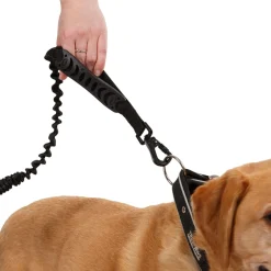 Trespaws Dog Bungee Lead Zathena