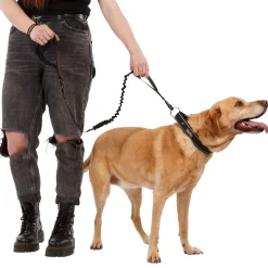 Trespaws Dog Bungee Lead Zathena