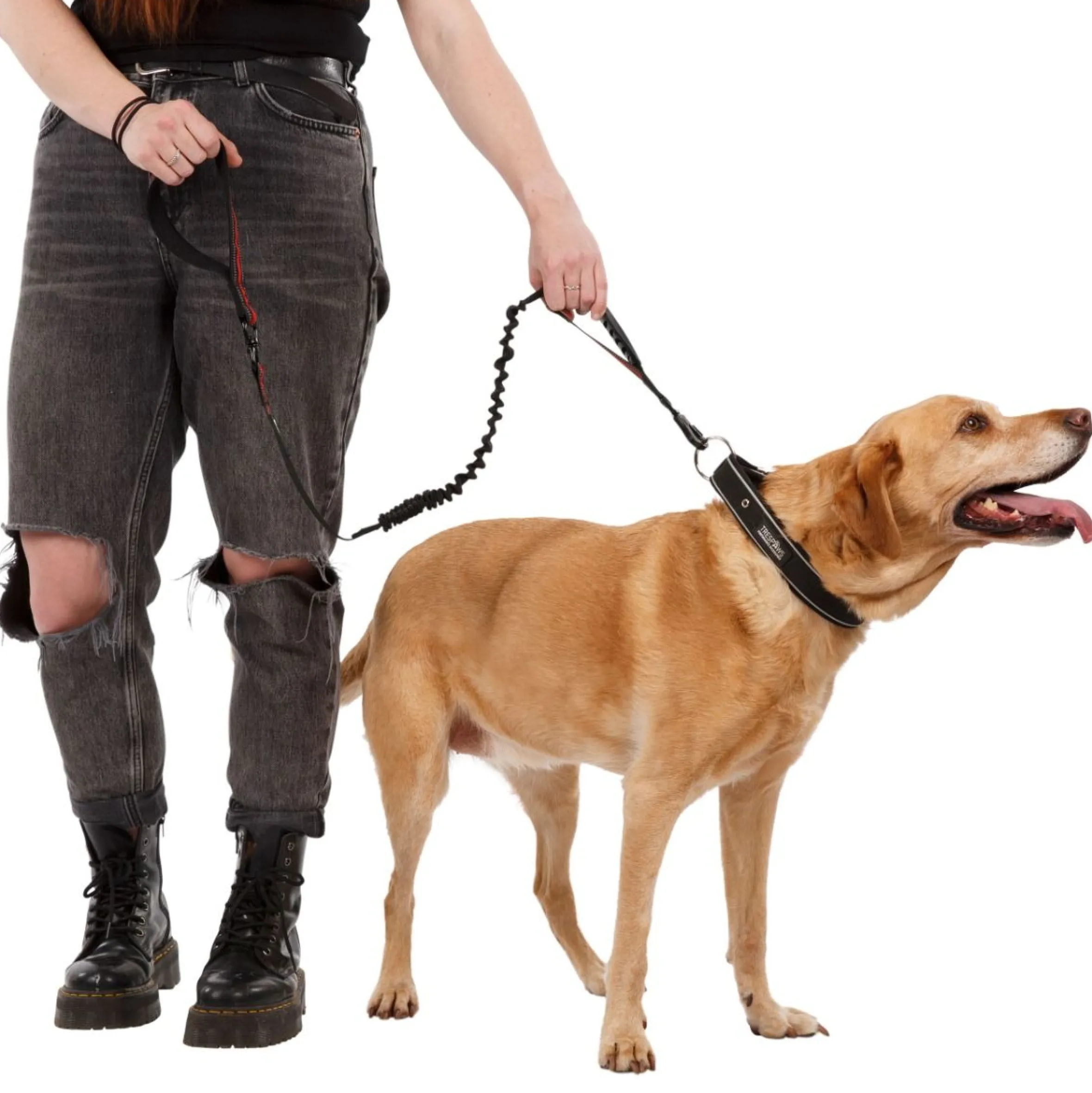 Trespaws Dog Bungee Lead Zathena