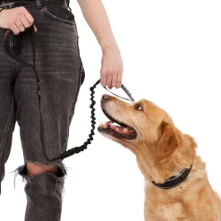 Trespaws Dog Bungee Lead Zathena