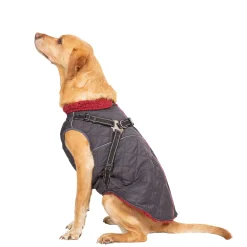 Trespaws Large 2 in 1 Windproof Dog Coat Hercules