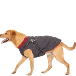 Trespaws Large 2 in 1 Windproof Dog Coat Hercules