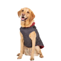 Trespaws Large 2 in 1 Windproof Dog Coat Hercules