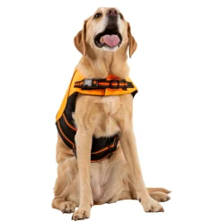 Trespaws Large Buoyancy Aid in HighVis Surfdog