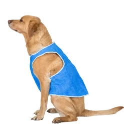 Trespaws Large Dog Cooling Vest in Sapphire Alaska