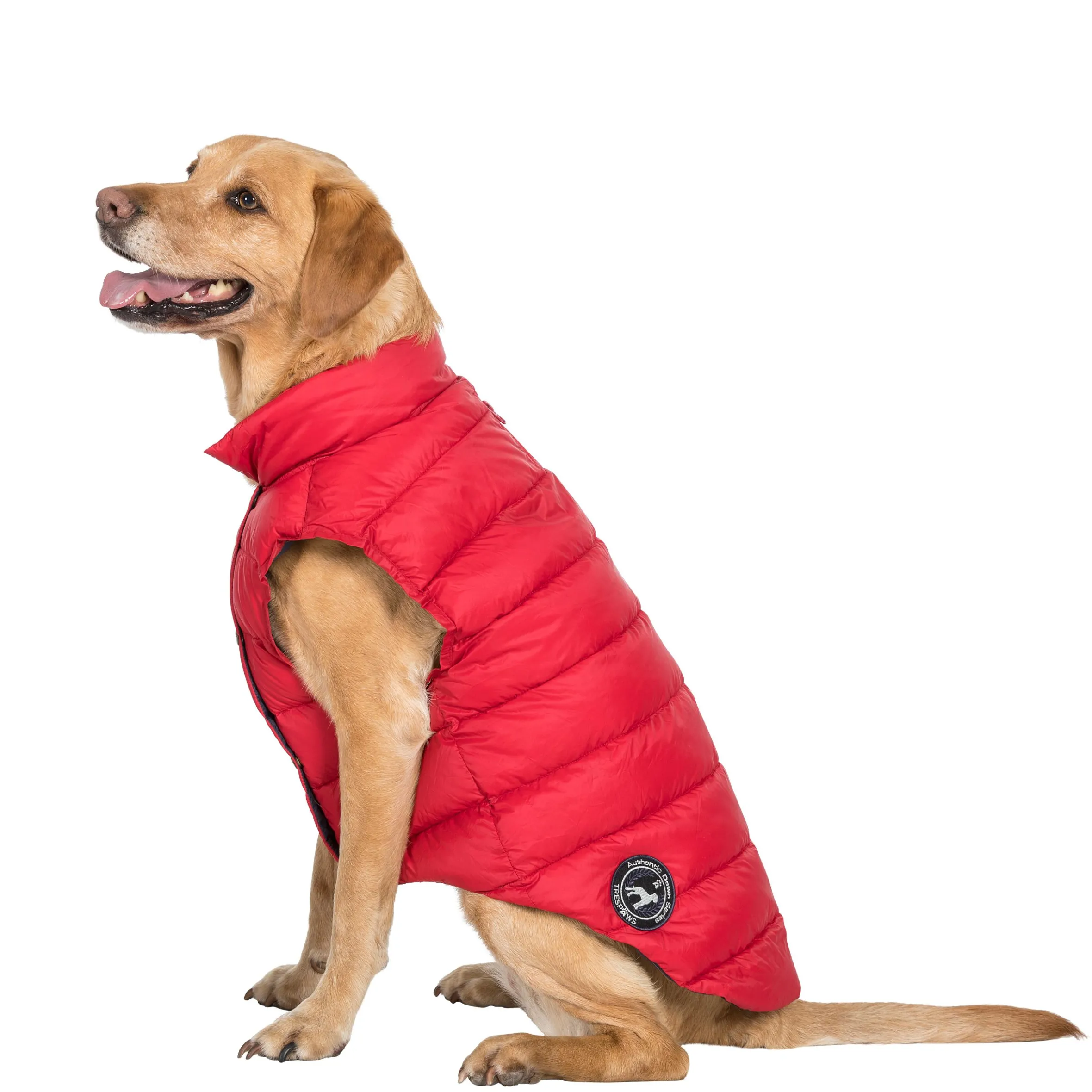 Trespaws Large Down Dog Jacket in Red Dogby