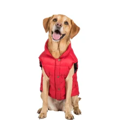 Trespaws Large Down Dog Jacket in Red Dogby