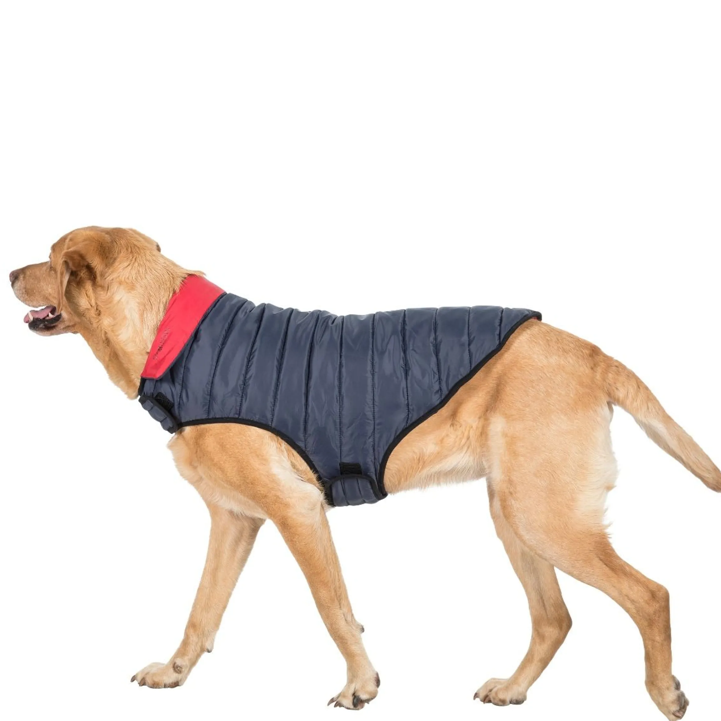 Trespaws Large Quilted Reversible Packaway Dog Jacket in Flint Kimmi