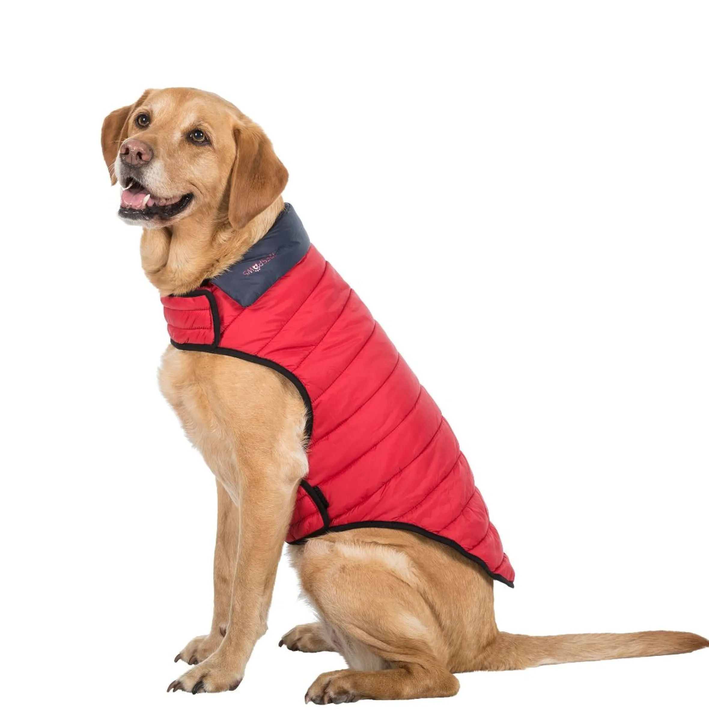 Trespaws Large Quilted Reversible Packaway Dog Jacket in Flint Kimmi