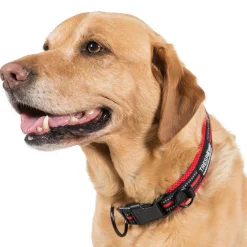 Trespaws Large SCOOBY DOG COLLAR POSTBOX RED
