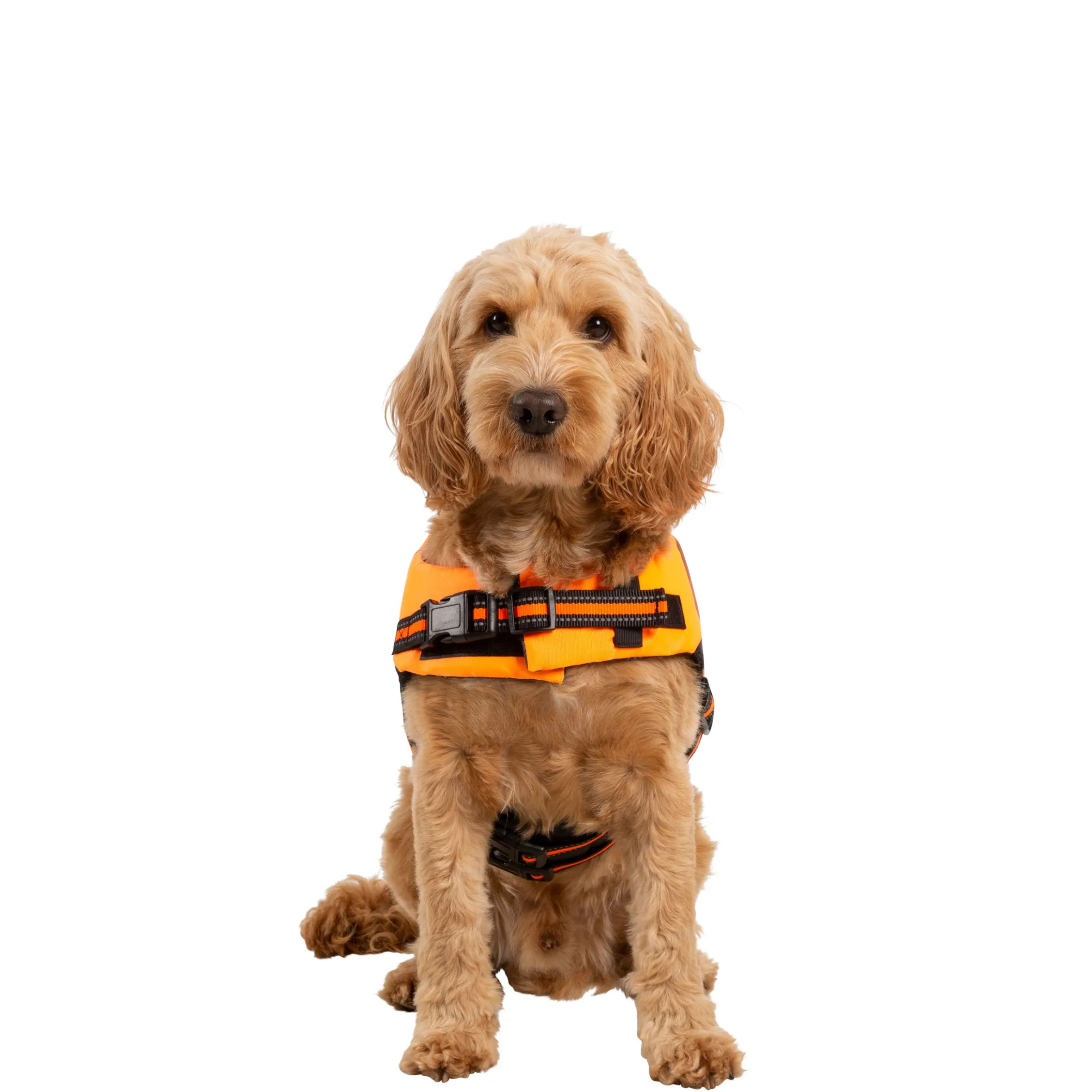 Trespaws Medium Buoyancy Aid in HighVis Surfdog