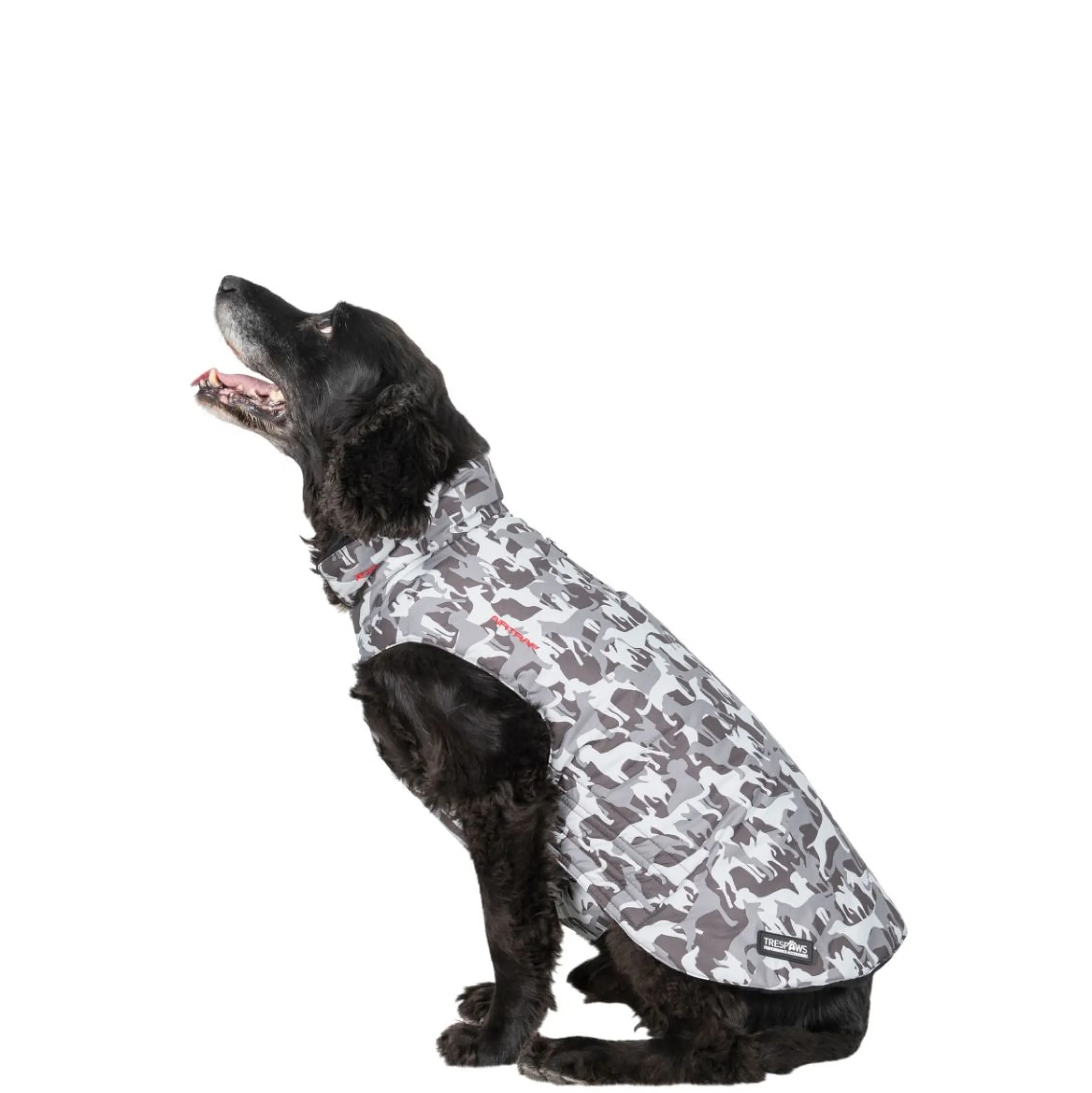 Trespaws Medium Camo Dog Printed Raincoat in Grey Charly