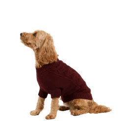 Trespaws Medium Dog Jumper Snowhound