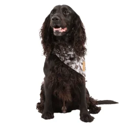 Trespaws M/XL Dog Insect Repellent Bandana in Grey Camo Alpha