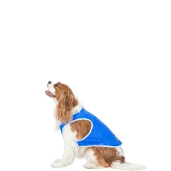 Trespaws Small Dog Cooling Vest in Sapphire Alaska