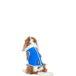 Trespaws Small Dog Cooling Vest in Sapphire Alaska