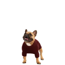 Trespaws Small Dog Jumper in Merlot Snowhound