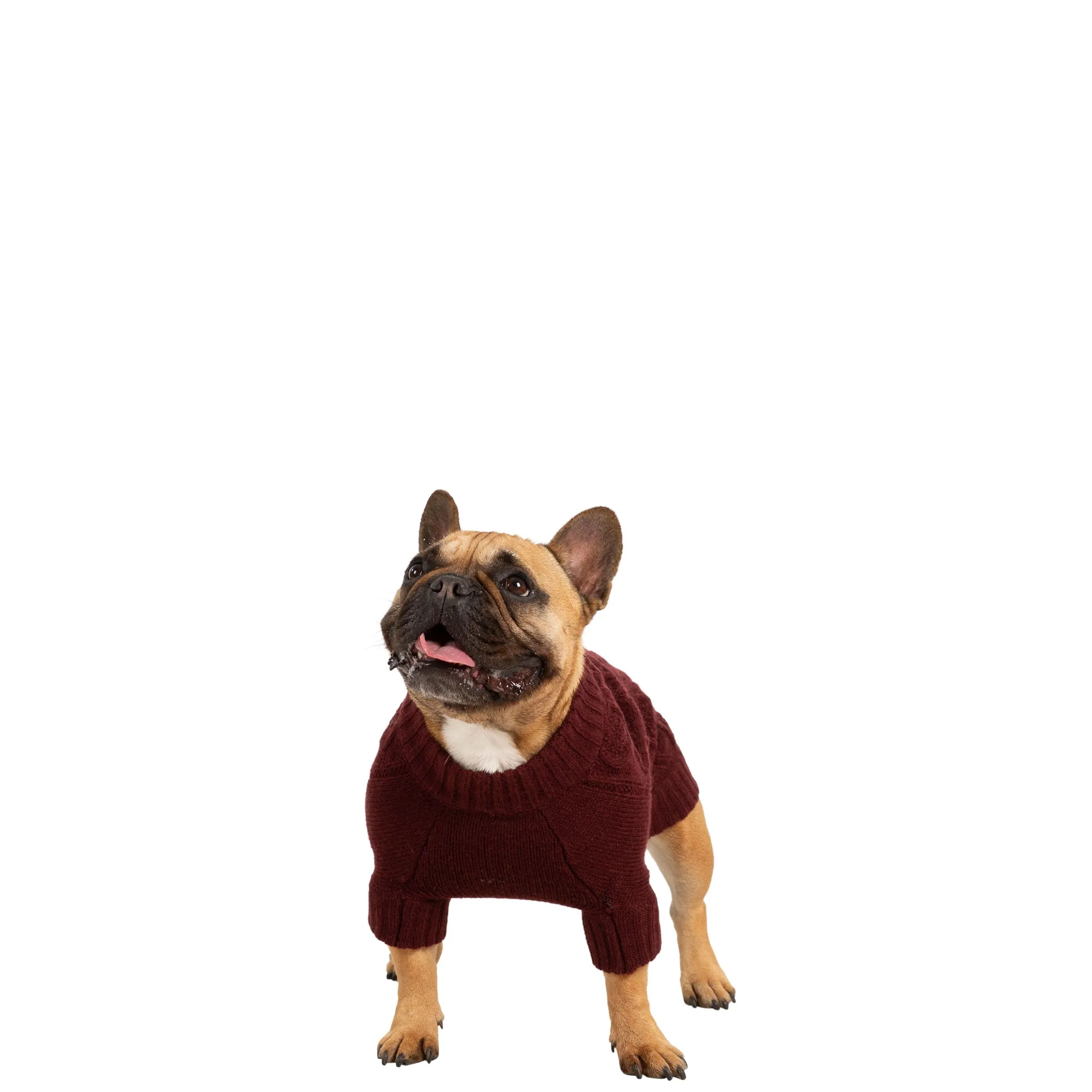 Trespaws Small Dog Jumper in Merlot Snowhound