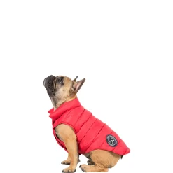 Trespaws Small Down Dog Jacket in Red Dogby