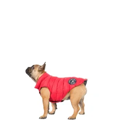 Trespaws Small Down Dog Jacket in Red Dogby