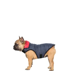 Trespaws Small Quilted Reversible Packaway Dog Jacket in Flint Kimmi
