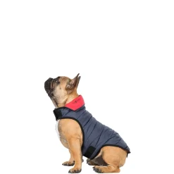 Trespaws Small Quilted Reversible Packaway Dog Jacket in Flint Kimmi