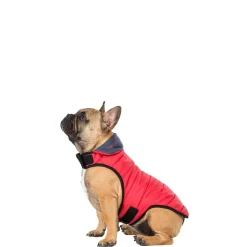 Trespaws Small Quilted Reversible Packaway Dog Jacket in Flint Kimmi