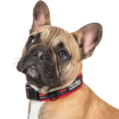 Trespaws Small SCOOBY  DOG COLLAR POSTBOX RED