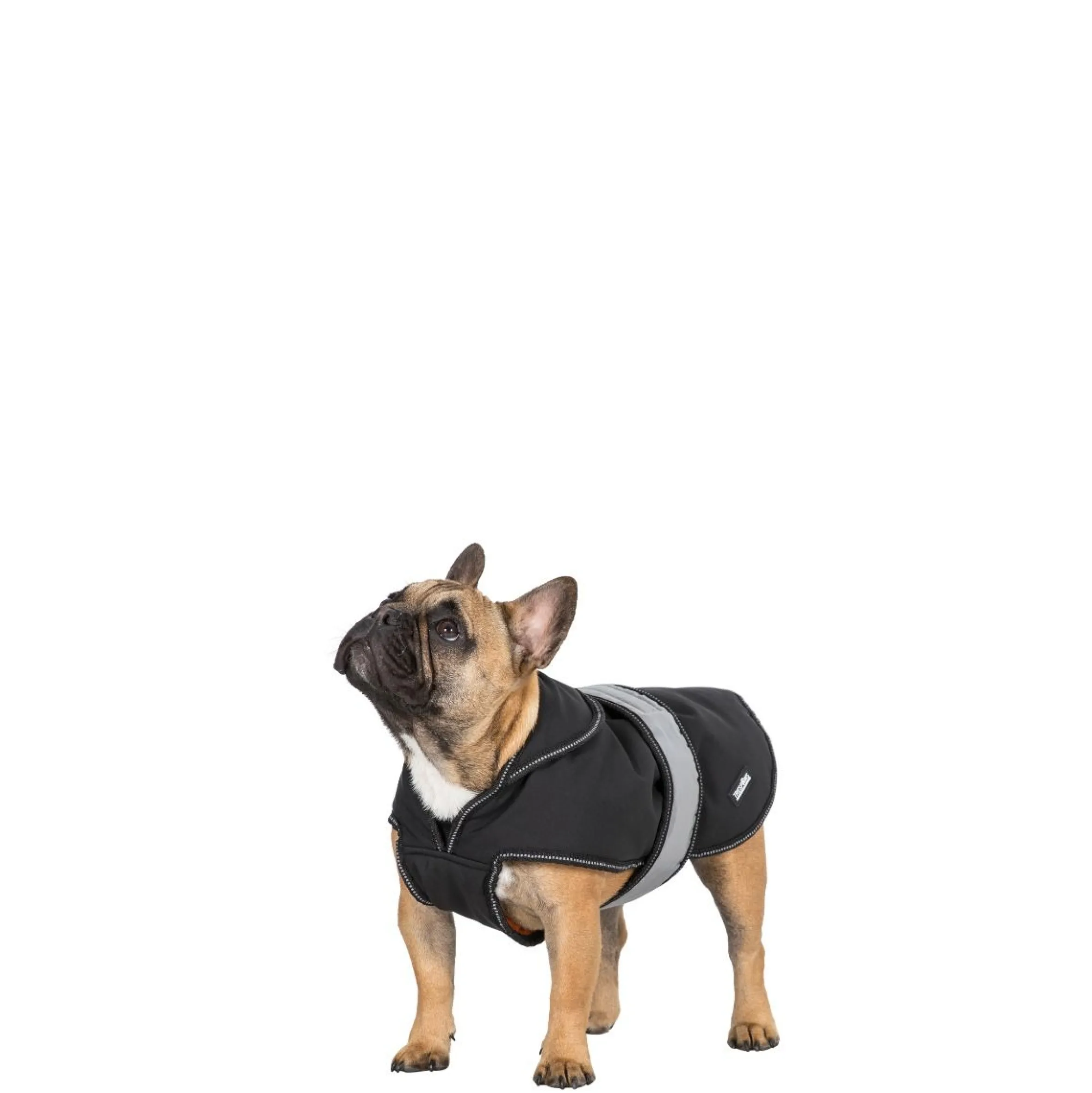 Trespaws Small Softshell dog coat Butch X Black X