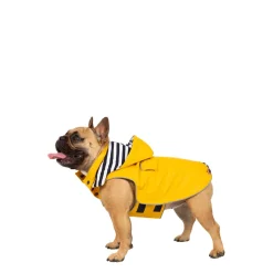 Trespaws Small Waterproof Dog Coat Seadog