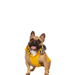 Trespaws Small Waterproof Dog Coat Seadog