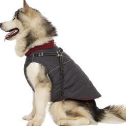 Trespaws XL 2 in 1 Windproof Dog Coat Hercules