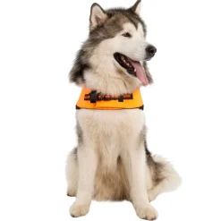 Trespaws XL Buoyancy Aid Surfdog High Vis