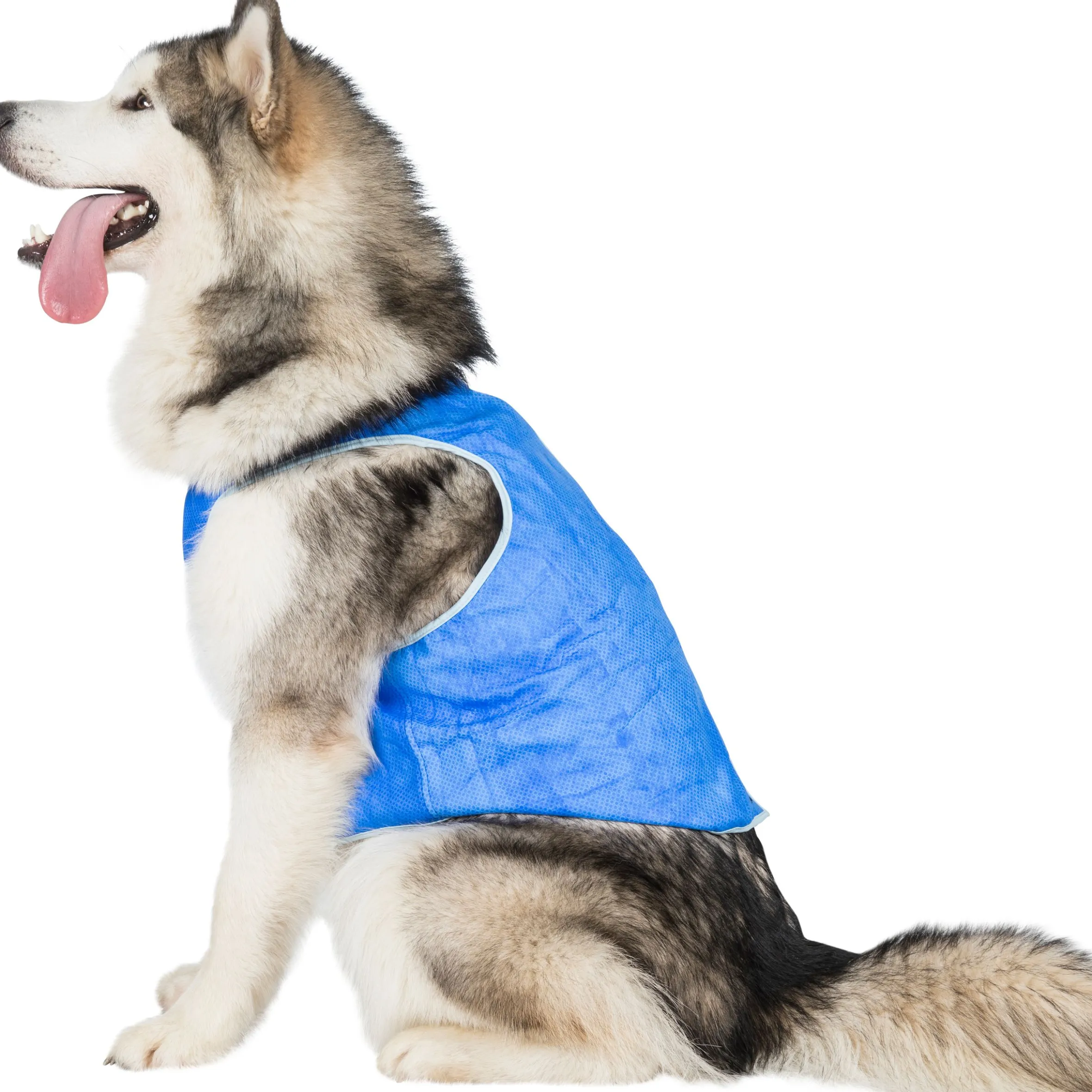 Trespaws XL Dog Cooling Vest in Sapphire Alaska