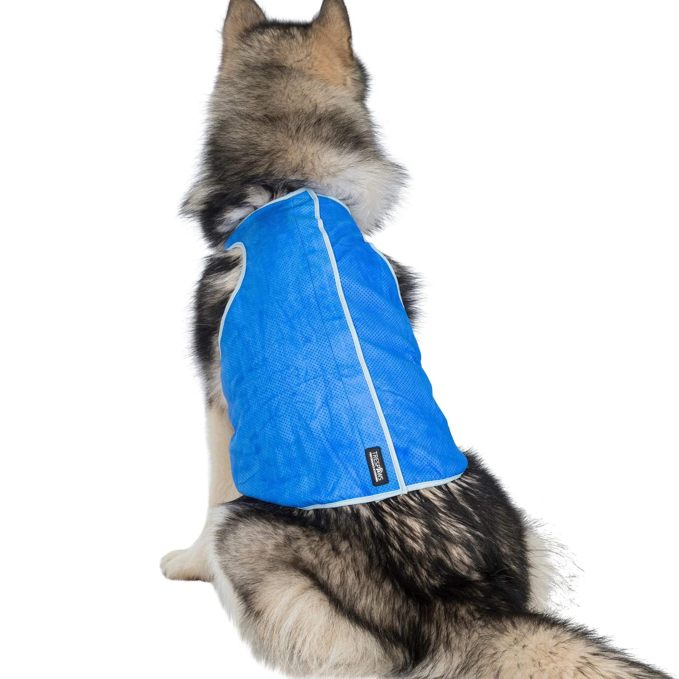 Trespaws XL Dog Cooling Vest in Sapphire Alaska