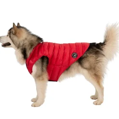 Trespaws XL Down Dog Jacket in Red Dogby