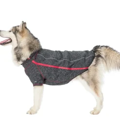 Trespaws XL Windproof Dog Fleece AT300 in Black Melange Boomer