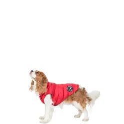 Trespaws XS Down Dog Jacket in Red Dogby