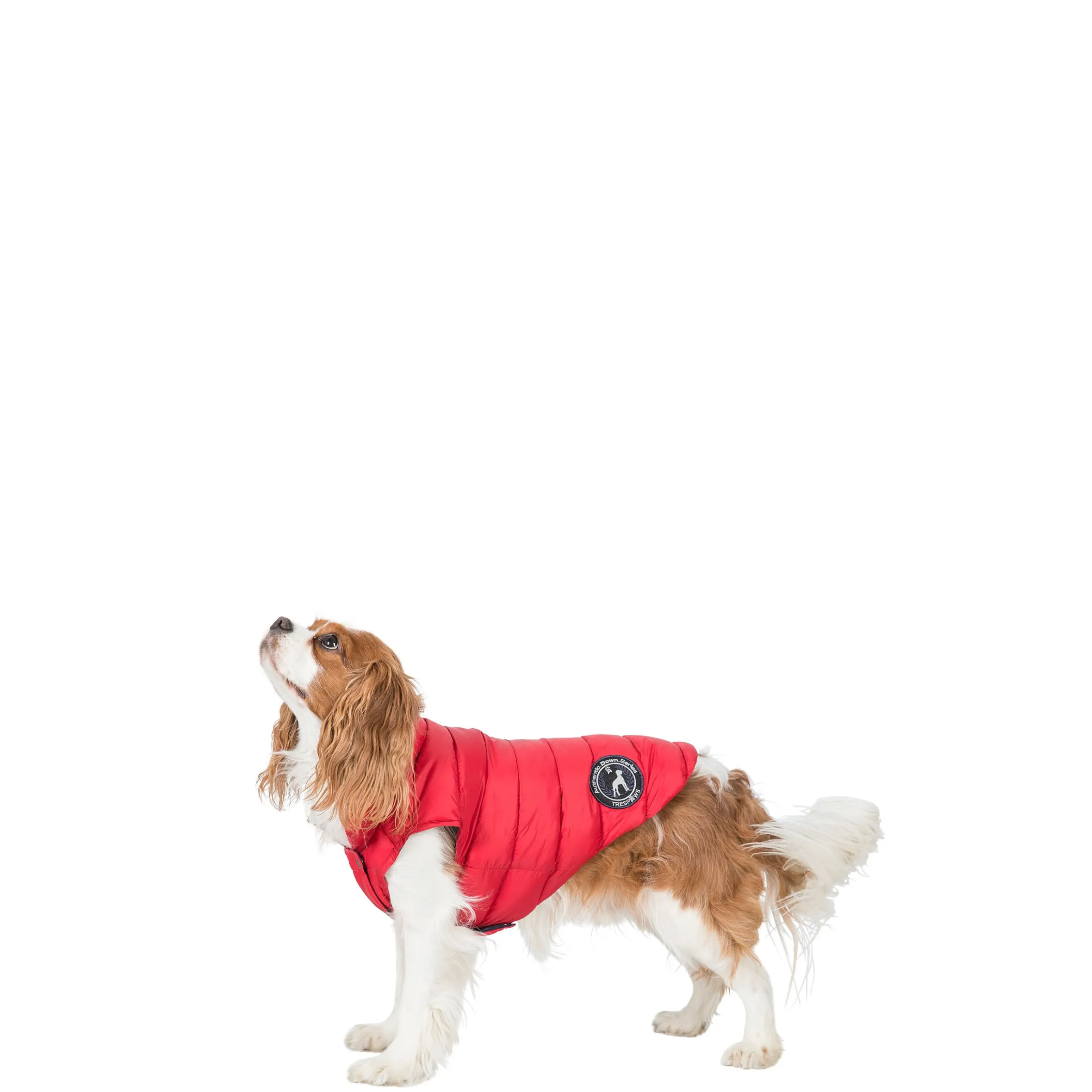 Trespaws XS Down Dog Jacket in Red Dogby