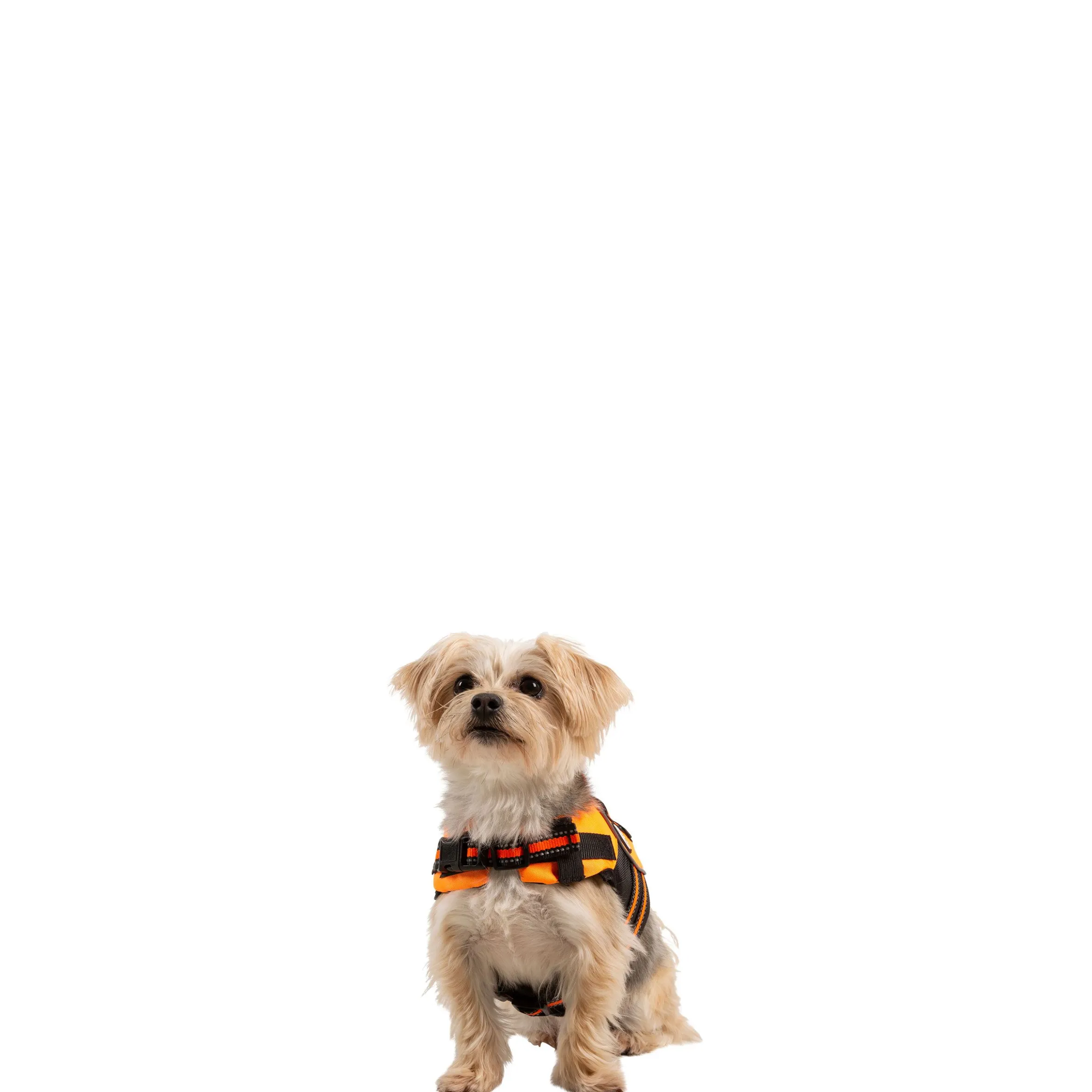 Trespaws XXS Buoyancy Aid Surfdog High Vis