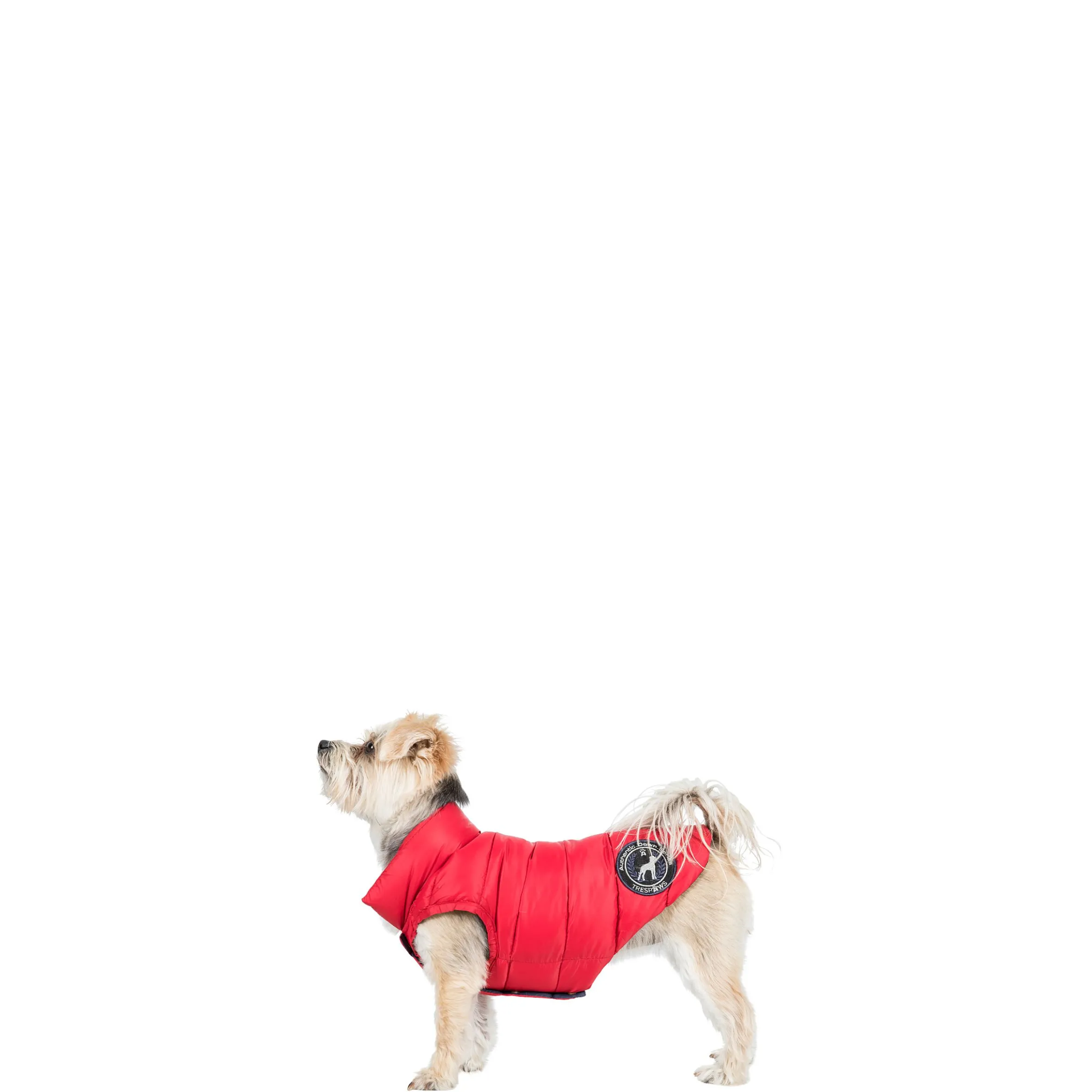 Trespaws XXS Down Dog Jacket in Red Dogby