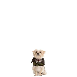 Trespaws XXS Eco Friendly Dog Puffer Jacket in Khaki Lloyd