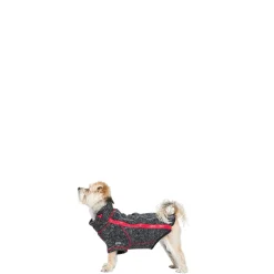 Trespaws XXS Windproof Dog Fleece AT300 in Black Melange Boomer