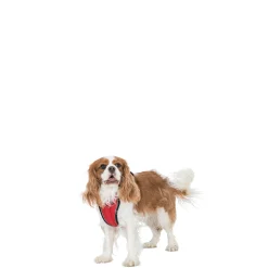 Trespaws XXS/XS Reflective Dog Harness in Postbox Red Mini Tanked